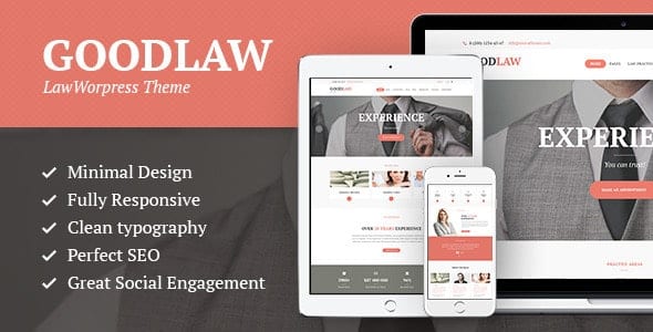 lawyer