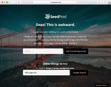 seedprod-404-page-pro