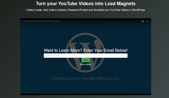 seedprod-yt-for-wp