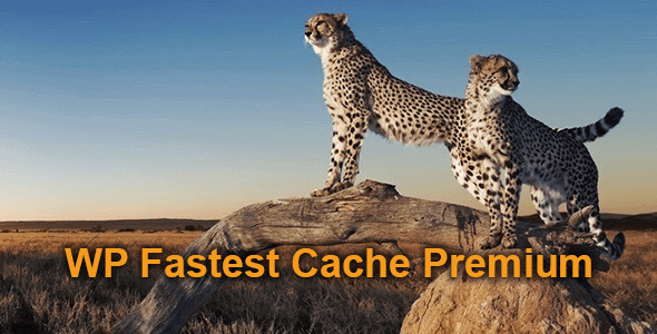 WP Fastest Cache Premium 1.6.4