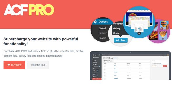 advanced-custom-fields-pro