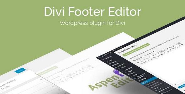 divi_space_plugin_footereditor
