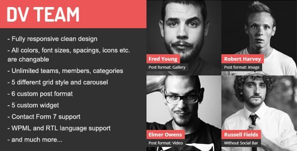 dvteam