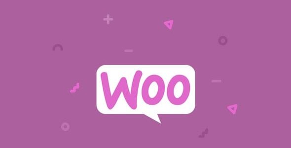 erp-woocommerce
