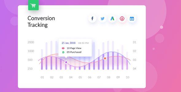 woocommerce-conversion-tracking-pro